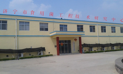 軟件科技領(lǐng)域內(nèi)的技術(shù)開發(fā) 創(chuàng)新驅(qū)動，賦能未來